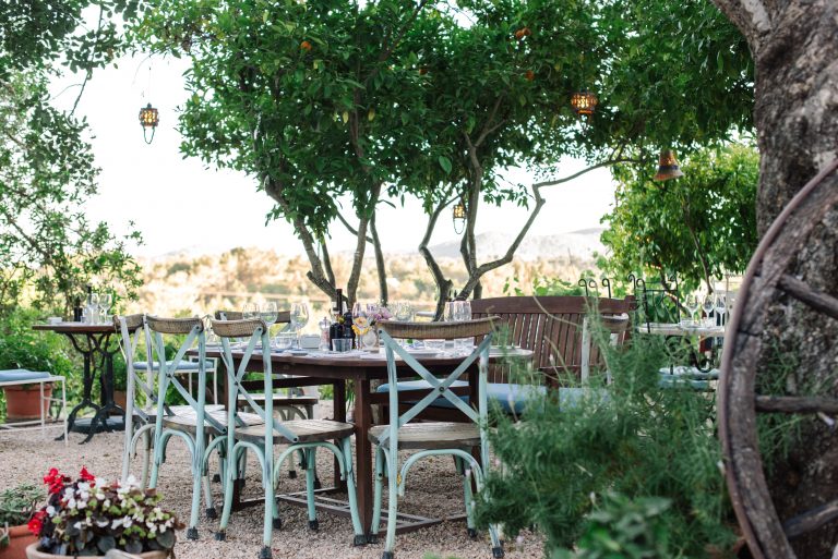 Wine Tasting in Ibiza La Paloma