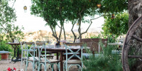 Wine Tasting in Ibiza La Paloma