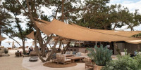 Best Restaurant in Ibiza