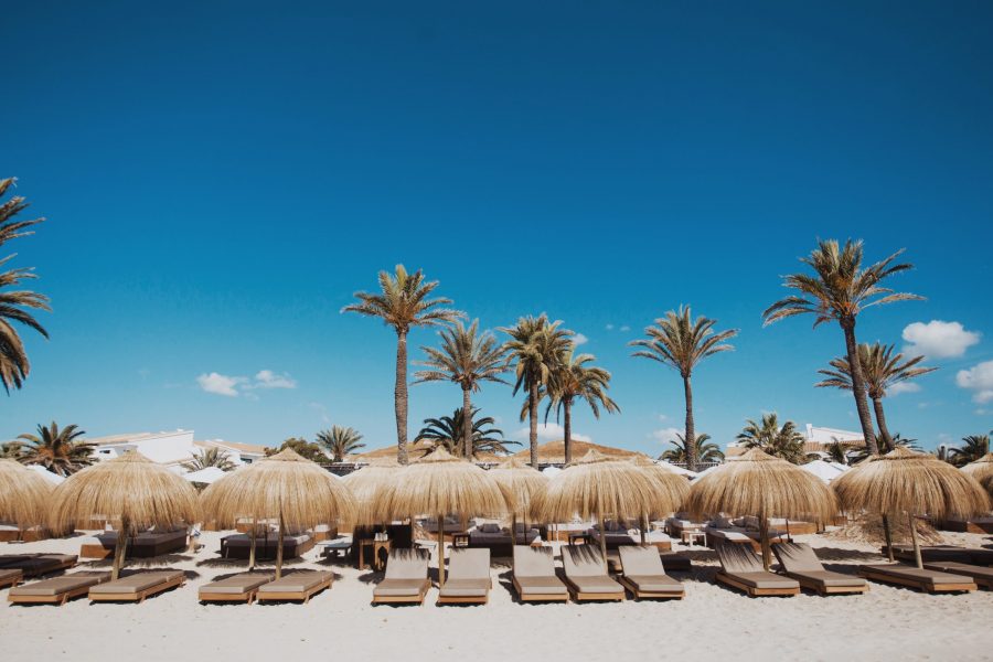 Sun loungers with blue sky and palm trees at Beachouse Ibiza