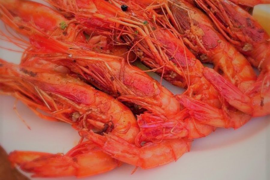 Best restaurants in Ibiza - FISHSHACK