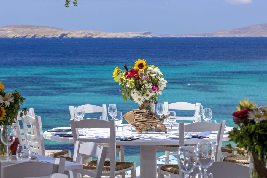 best restaurants in Mykonos - Hippie Fish